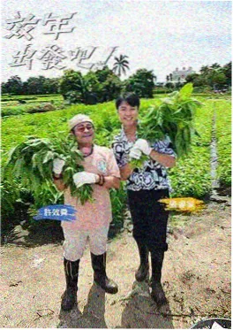 一人食剧场 短剧 海报